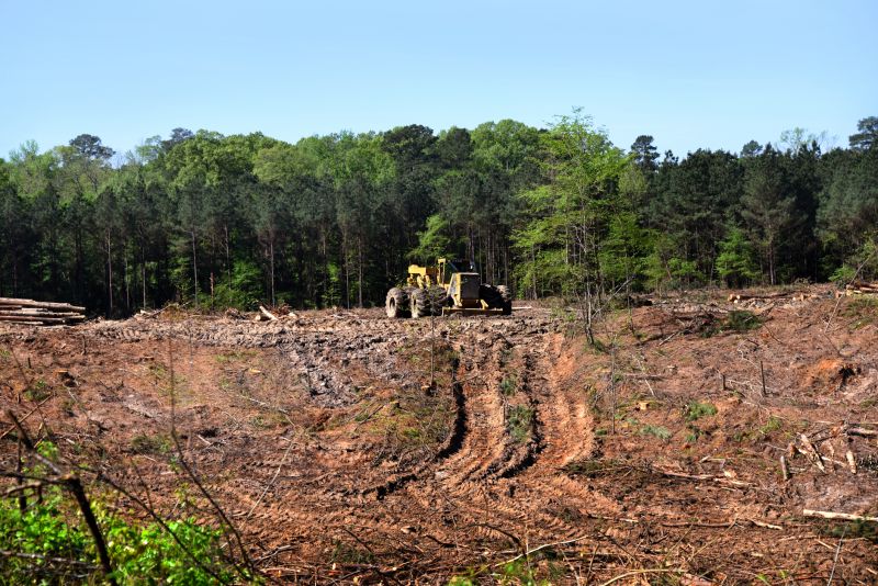 Ground Clearing in Katy, TX