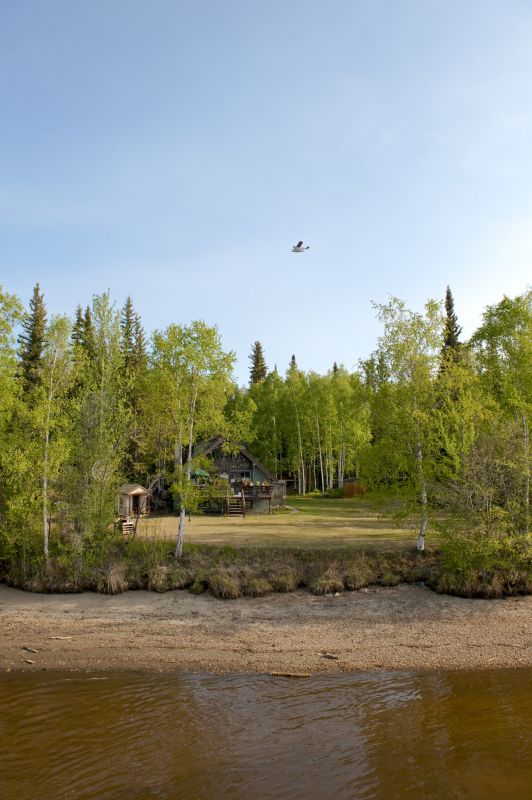 Lakefront Property Clearing in Salt Lake City, UT
