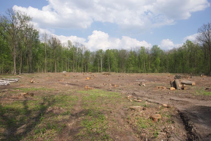 Land Clearing in Salt Lake City, UT